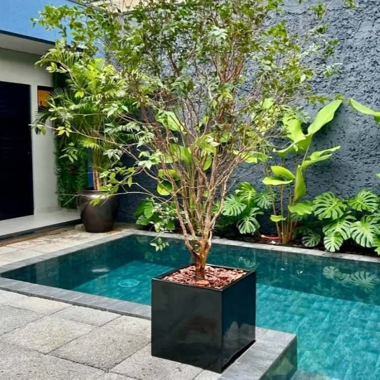 Vaso quadrado preto com planta em frente a uma piscina