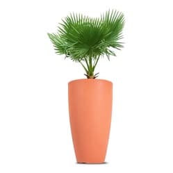 Vaso Vietnamita terracota 50 cm com planta verde