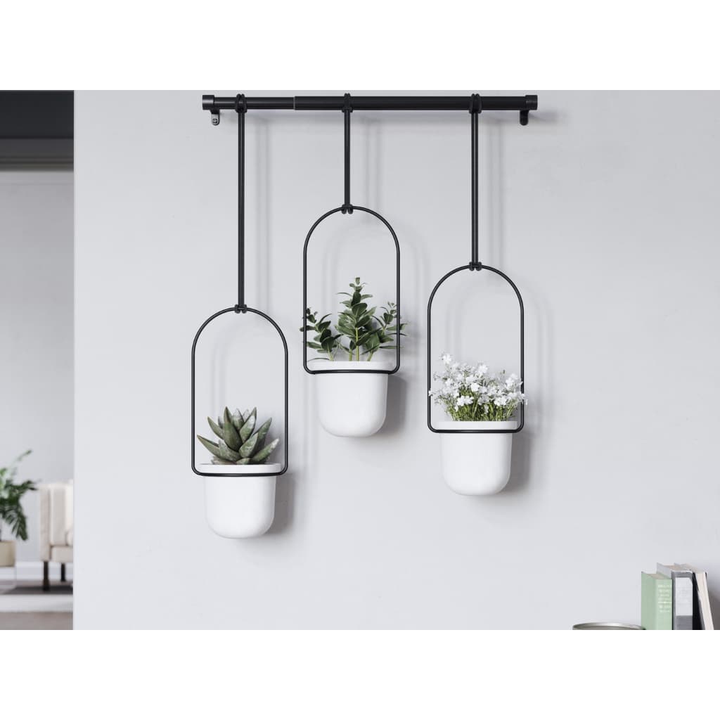 Kit cachepot triflora ajustável prático, vaso decorativo pendente parede teto janela suspenso, 3 plantas, flores, metal, Umbra
