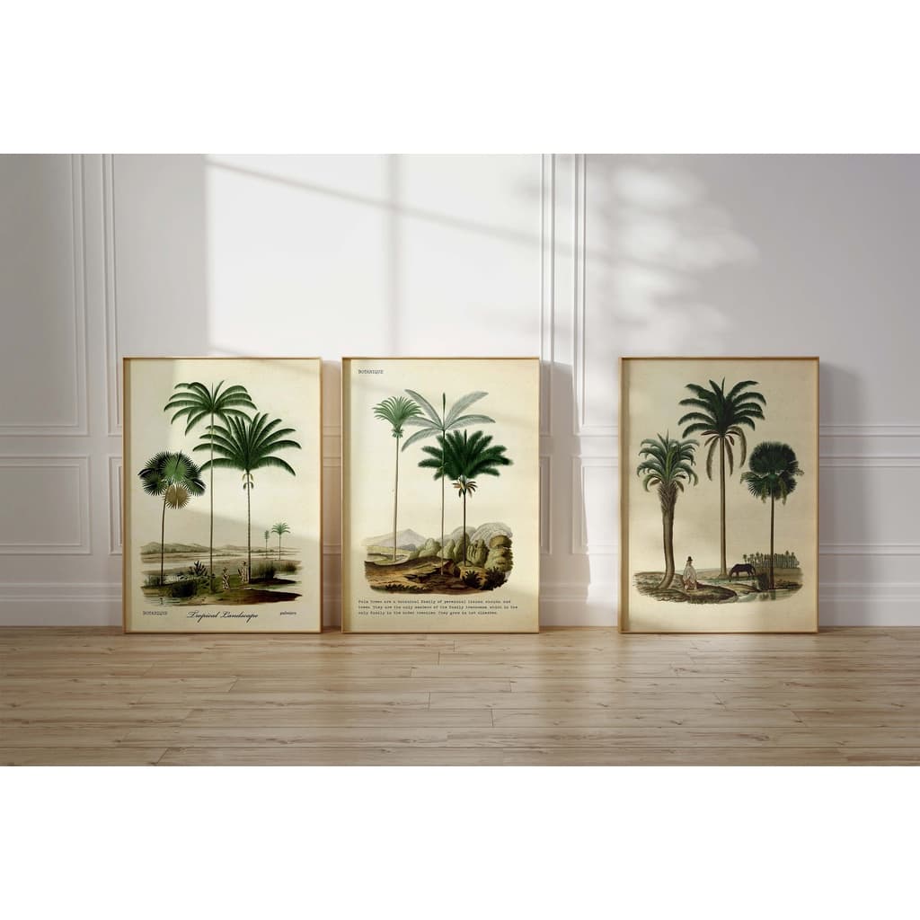 Quadros decorativos minimalistas com ilustrações de palmeiras em fundo branco