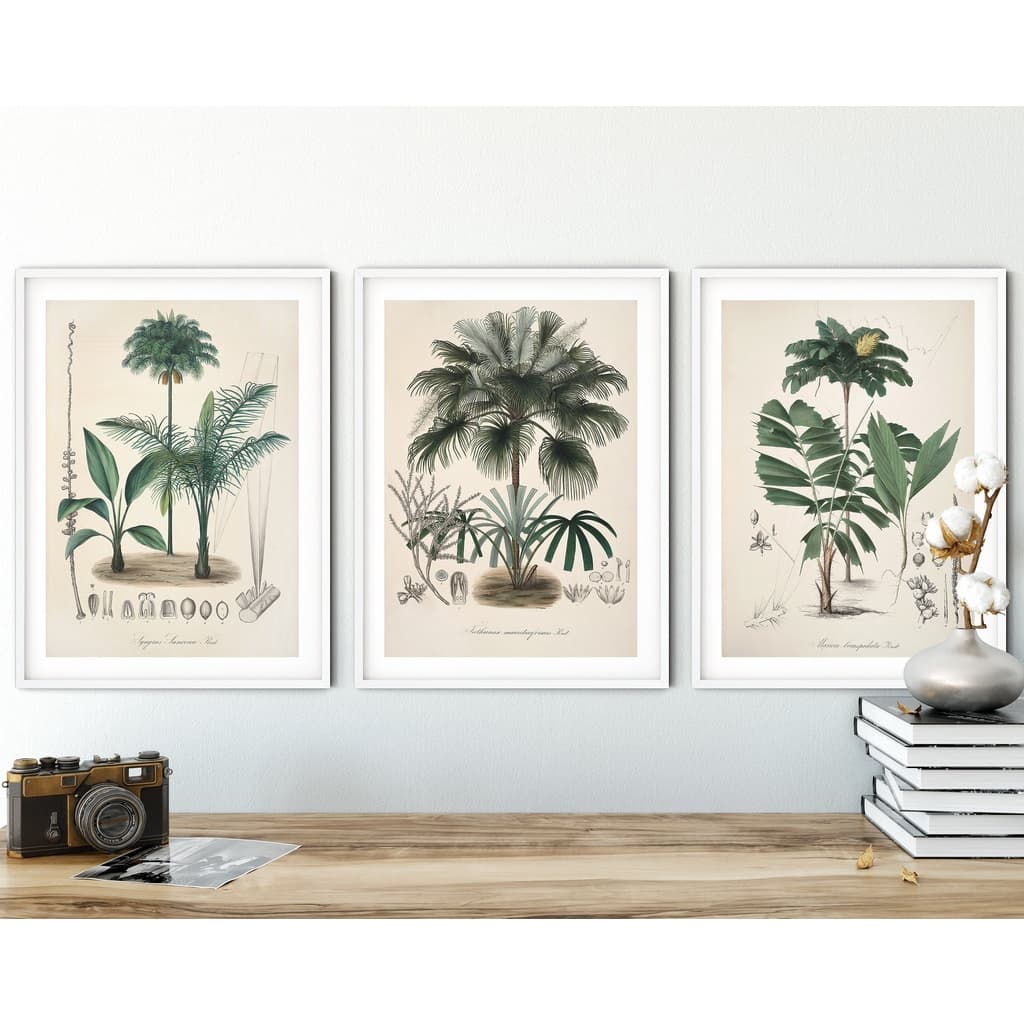 Quadros decorativos com ilustrações de plantas exóticas em tons de verde e bege