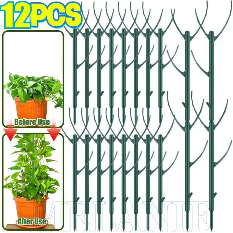 Suportes para plantas verdes 12 peças antes e depois do uso