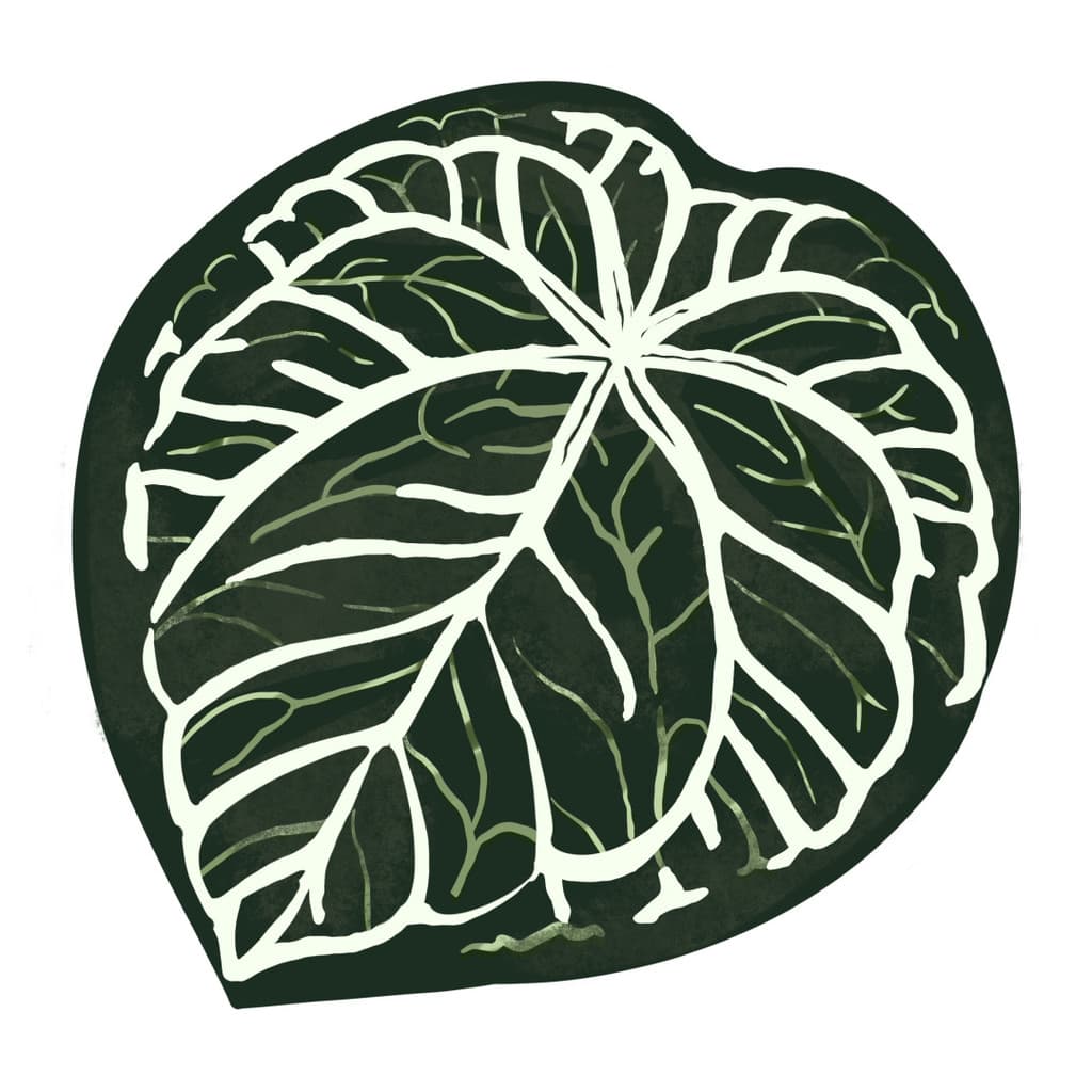 Ilustração de folha verde em forma de coração para decoração