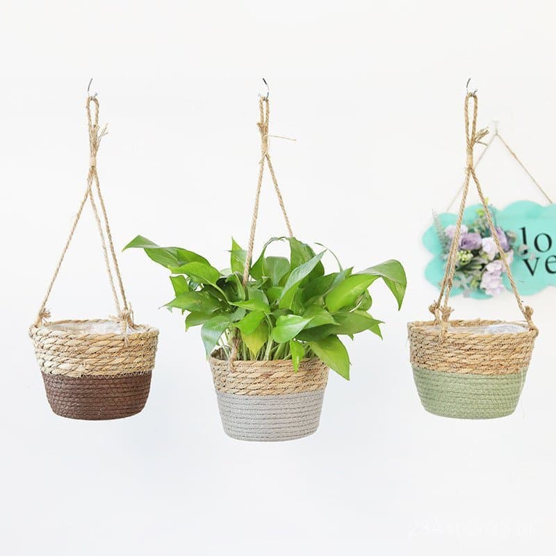 Vasos suspensos de palha trançada com plantas verdes, fundo branco