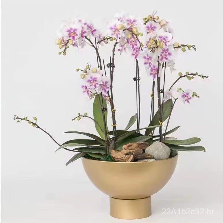 Vaso dourado com orquídea roxa e suporte alto, fundo branco