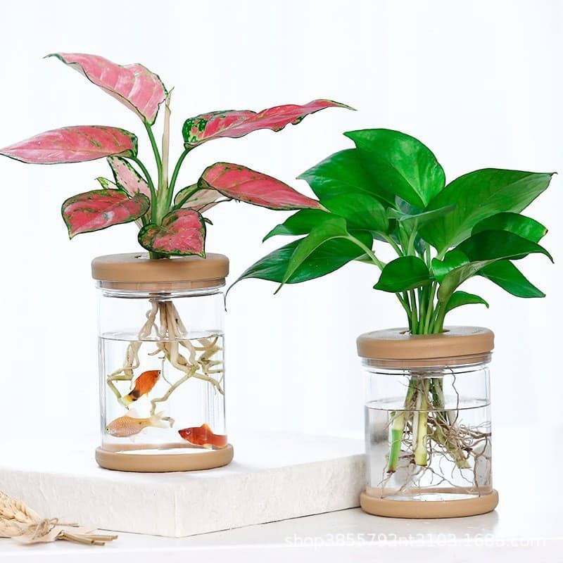 Vaso de flores hidropônico geométrico transparente transparente-vaso de vidro cristal para pequenas suculentas e Bonsai,