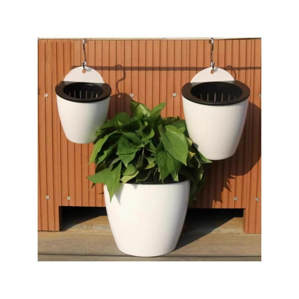 Vaso de flores para pendurar na parede, vaso preguiçoso, sem água, pendurado na parede, vaso de flores suculento, endro 