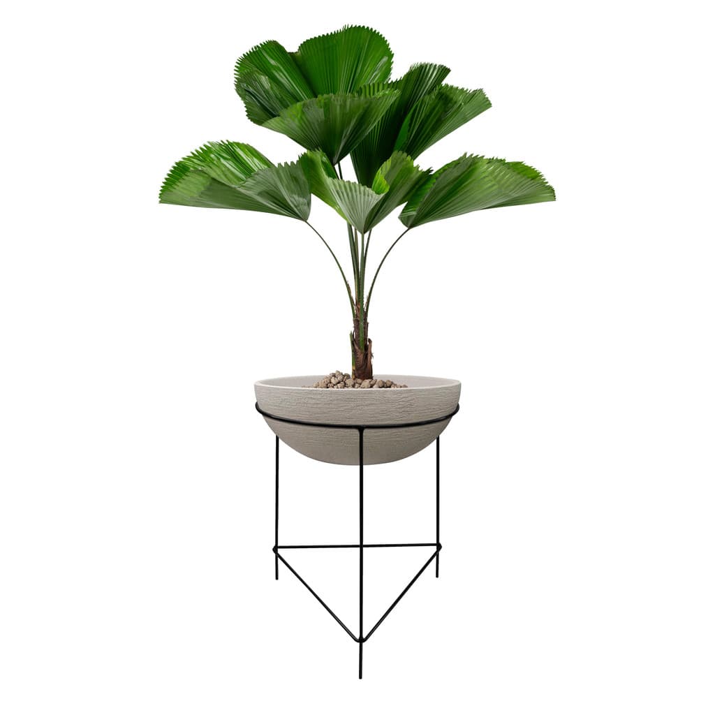 Planta com suporte de chão triangular em arame, vaso cinza, folhas verdes, fundo branco, 46x42 cm