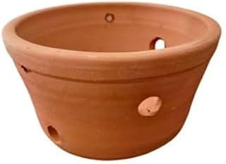 Vaso de cerâmica marrom para orquídeas e suculentas com furos de drenagem