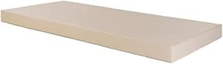 Colchão Hospitalar Original com Capa Impermeável D-28 até 100kg