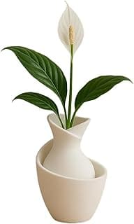 Planta em vaso decorativo branco moderno, folhas verdes e flor branca, fundo branco