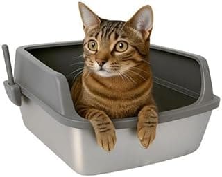 Caixa de Areia para Gatos Aberta Aço Inox Grande Antiodor Bandeja Removível Paredes Altas Anti Areia com Pá 53x40x30cm(Cinza)