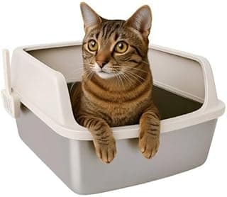 Caixa de areia para gatos em aço inoxidável aberta com pá bandeja higiênica grande anti-odor bege