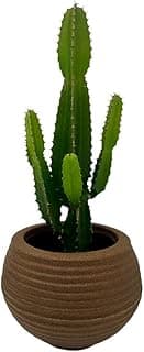 Vaso decorativo marrom ondulado com planta de cacto verde