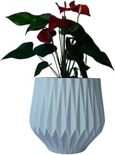 Vaso de Planta Origami P 22 cm de Altura para Planta de Pequeno Porte (Branco)