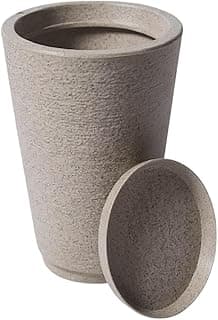 Vaso decorativo de planta cinza com prato, acabamento escovado, textura áspera.