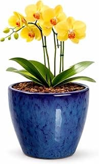 Vaso azul com orquídea amarela em cerâmica esmaltada
