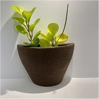 Vaso marrom polietileno decorativo com planta verde para ambientes de luxo