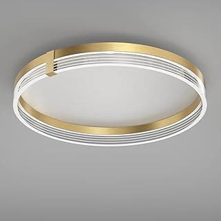 Luminária de teto LED moderna, redonda, dourada, alumínio escovado e acrílico, 50 cm de diâmetro, design criativo