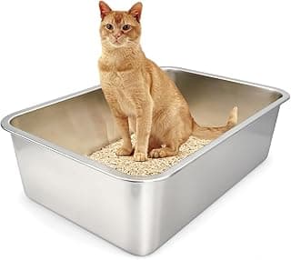 Caixa de areia de aço inoxidável para gatos, gato amarelo sentado dentro, fundo branco, sem odor e superfície antiaderente.