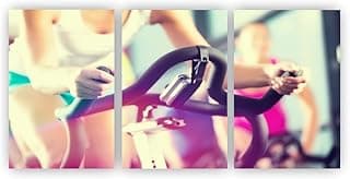 Kit 3 quadros decorativos bicicleta academia treino fitness