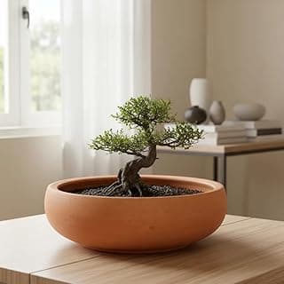Vaso bonsai marrom com árvore em ambiente interno, janela com cortinas brancas ao fundo