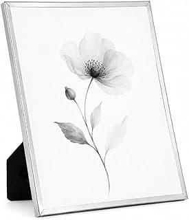 Porta-retrato prateado com moldura em preto e branco de uma flor