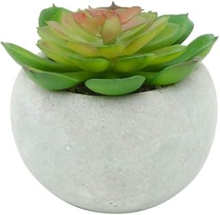 Mini planta suculenta em vaso de concreto branco, folhas verdes e flor rosa, textura de cimento.
