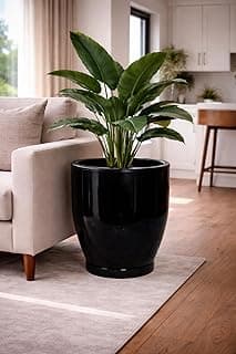 Vaso redondo preto com planta verde moderna em sala de estar