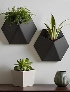 Dois vasos de parede hexagonais pretos foscos com plantas, design geométrico 3D, estilo moderno minimalista.