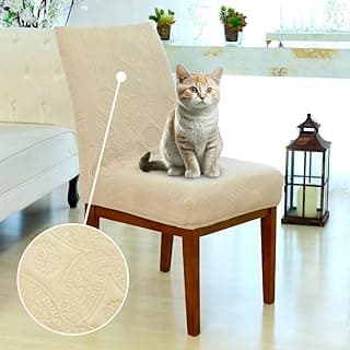Cadeira de jantar com capa matelada bege, gato sentado, ambiente acolhedor