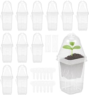12 potes pequenos transparentes de irrigação automática para plantas de interior