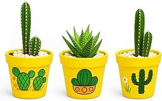 Trio de Vasos de Barro para Suculentas – Pintados à Mão com Estilo Artesanal e Exclusivo