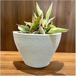 Vaso de polietileno branco com textura para plantas em mesa de madeira