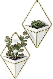 Adorno de parede geométrico com plantas em vasos triangulares brancos e dourados
