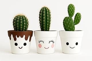 Trio de vasos de barro pintados à mão com design divertido e carinhas sorridentes, ideais para cactos e suculentas