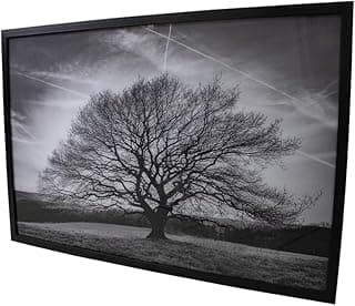 Quadro decorativo preto e branco árvore isolada campo céu nublado