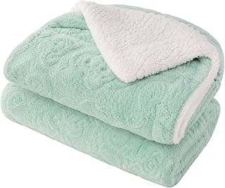 Cobertor Sherpa Casal Jacquard Dupla Face 2,20x1,80m Manta Grossa Macia Quentinha (Verde Água)