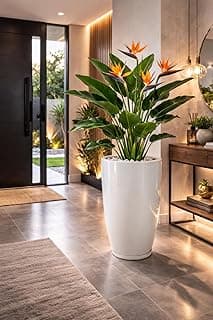 Vaso grande de polietileno branco com planta strelitzia em hall de entrada moderno
