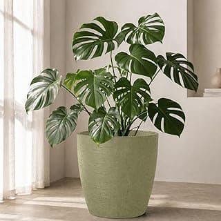 Vaso de planta oval moderno de polietileno verde com planta de folhas grandes