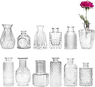 Vasos de vidro transparente para flores em várias formas e tamanhos
