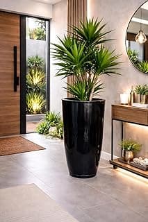 Vaso grande preto polietileno para plantas, estilo liso, entrada de casa