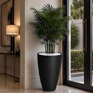 Vaso oval moderno de polietileno preto com planta tropical verde, 65x40 cm
