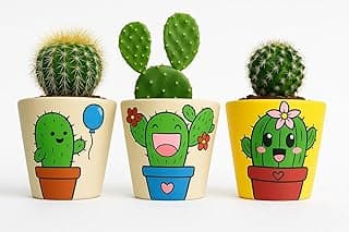 Kit com 3 Vasos de Barro Pintados à Mão com Desenhos Criativos de Cactos