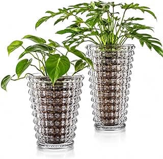 Kit decorativo com 2 vasos de vidro Austria transparentes para sala, quarto, escritório, cozinha, casa Buritis padrão