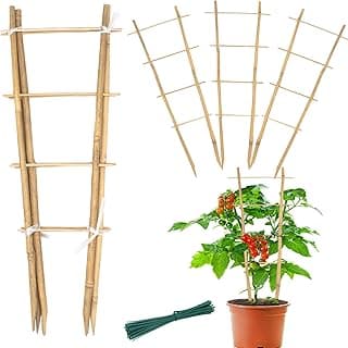 Kit de treliça de bambu para jardinagem vertical com escada de 16 polegadas, vaso e planta de tomate