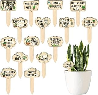 Etiquetas coloridas para plantas com mensagens engraçadas para identificação de vasos suculentos