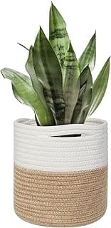 Cesta de vime branca e marrom para uso interno com planta verde