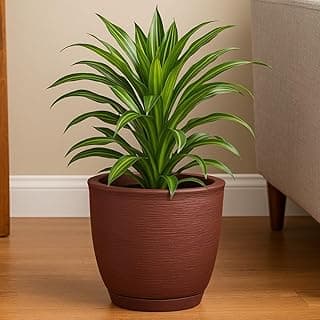 Vaso decorativo marrom com planta verde, em ambiente interno com piso de madeira