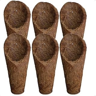 Sistema de seis vasos de fibra de coco para pendurar, ideais para orquídeas e xaxim, com design de cone e cor natural marrom.